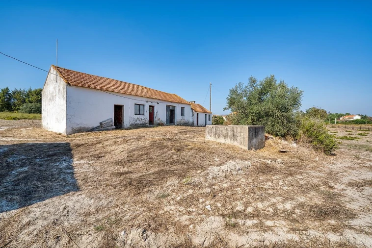 Quinta T0 para Venda em Aveiras de Baixo Foto 10