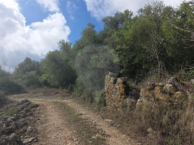 Terreno para Venda em Almargem do Bispo, Pêro Pinheiro e Montelavar Foto 8