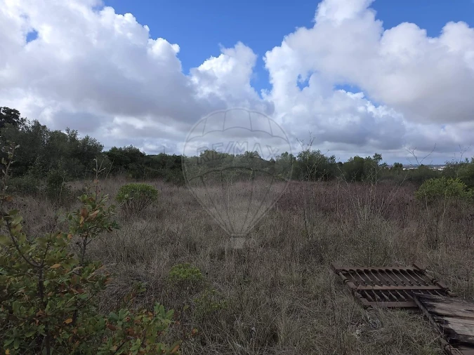 Terreno para Venda em Almargem do Bispo, Pêro Pinheiro e Montelavar Foto 13