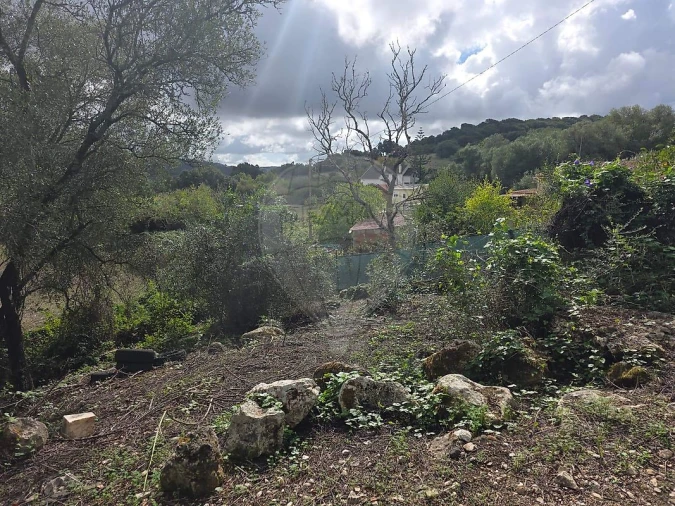 Terreno para Venda em Almargem do Bispo, Pêro Pinheiro e Montelavar Foto 7