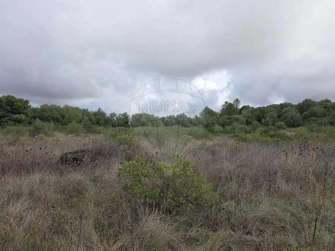 Terreno para Venda em Almargem do Bispo, Pêro Pinheiro e Montelavar Foto 15