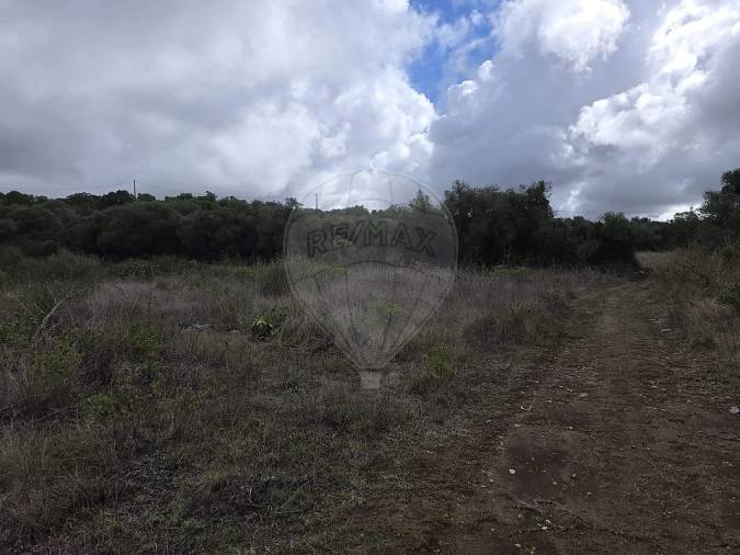 Terreno para Venda em Almargem do Bispo, Pêro Pinheiro e Montelavar Foto 14