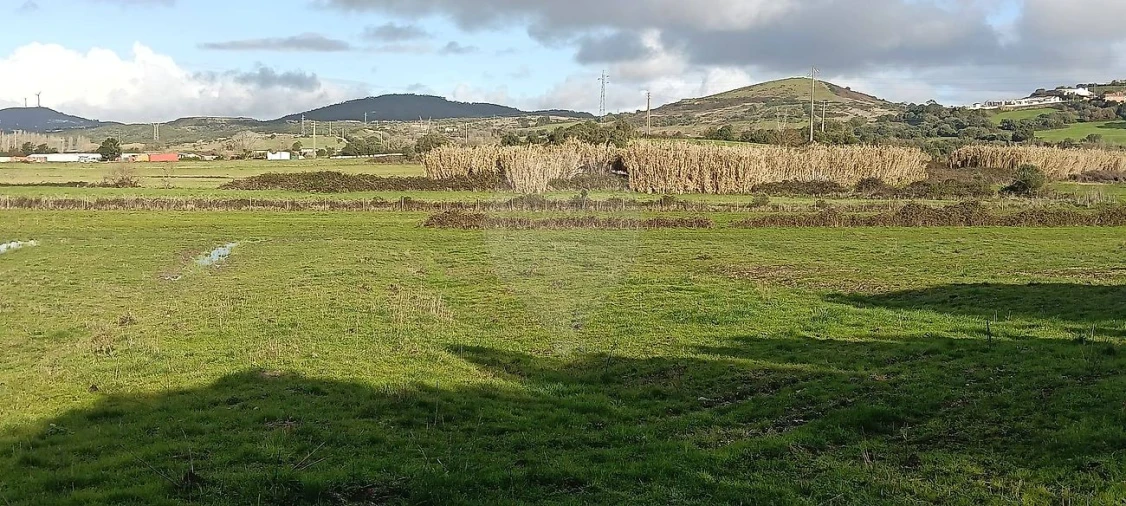 Terreno para Venda em Almargem do Bispo, Pêro Pinheiro e Montelavar Foto 6