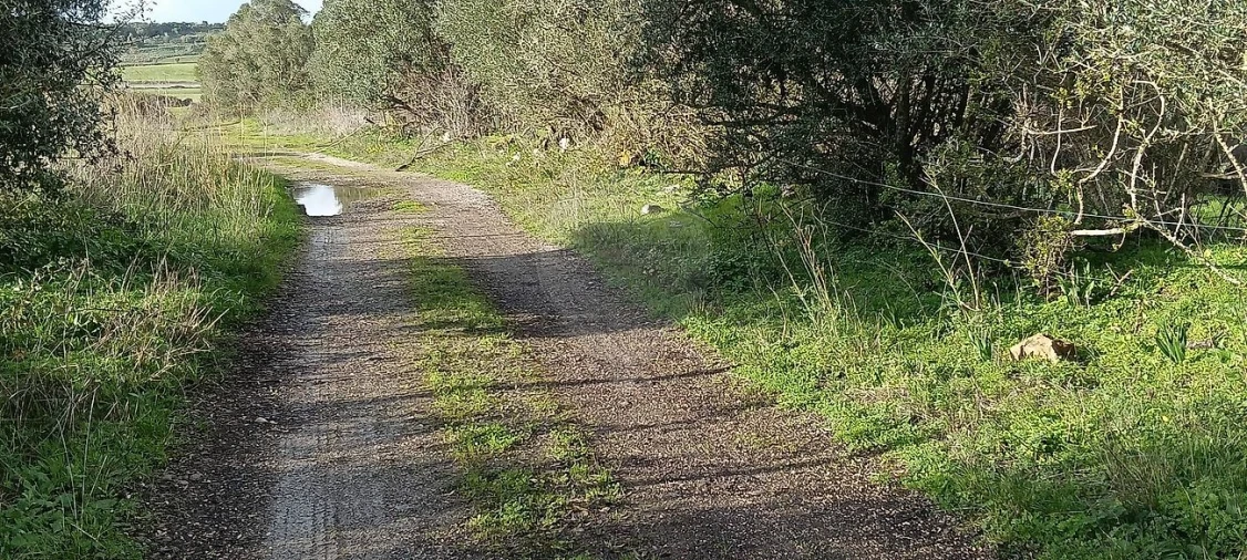 Terreno para Venda em Almargem do Bispo, Pêro Pinheiro e Montelavar Foto 2