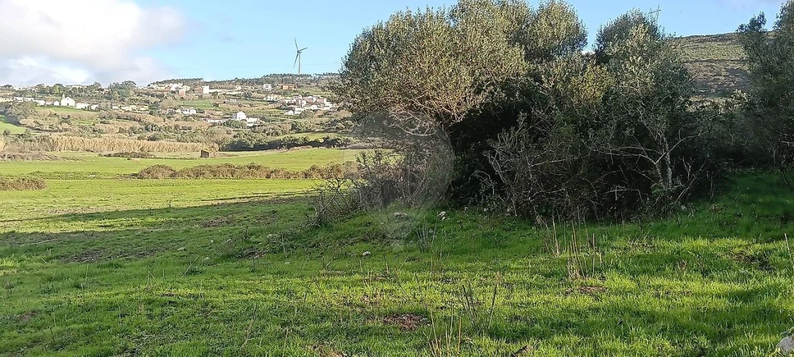 Terreno para Venda em Almargem do Bispo, Pêro Pinheiro e Montelavar Foto 4