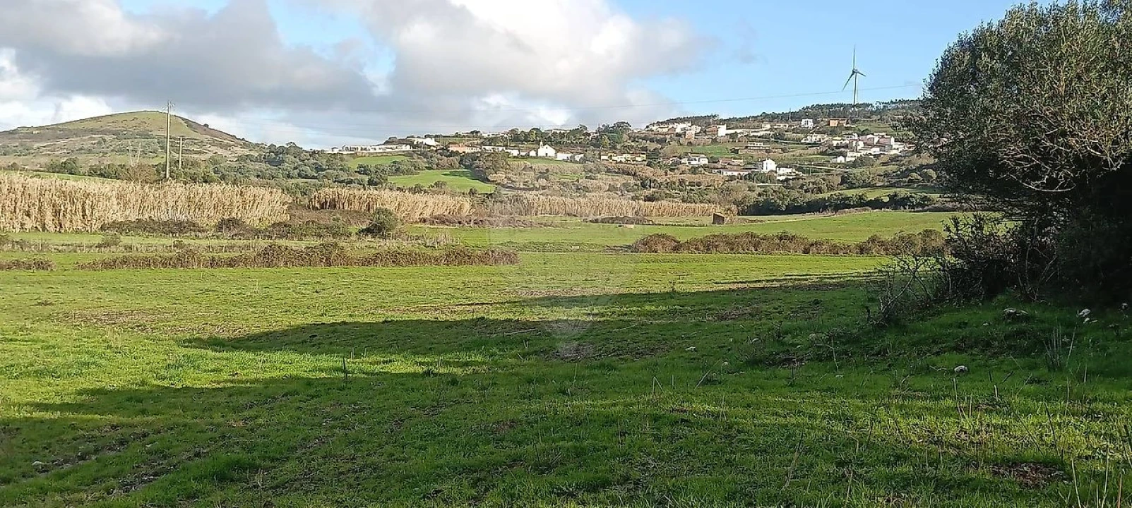 Terreno para Venda em Almargem do Bispo, Pêro Pinheiro e Montelavar Foto 5