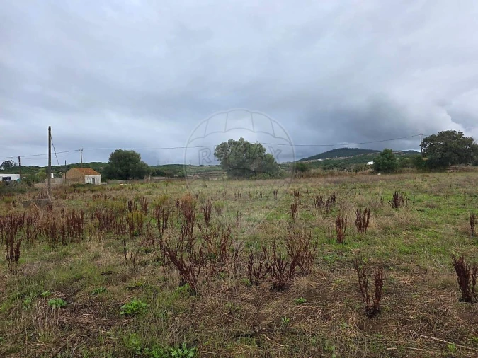 Terreno para Venda em Almargem do Bispo, Pêro Pinheiro e Montelavar Foto 6