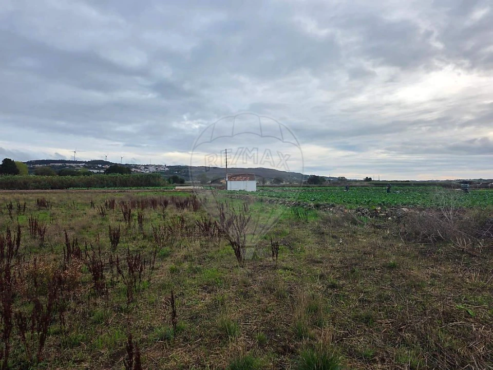 Terreno para Venda em Almargem do Bispo, Pêro Pinheiro e Montelavar Foto 11