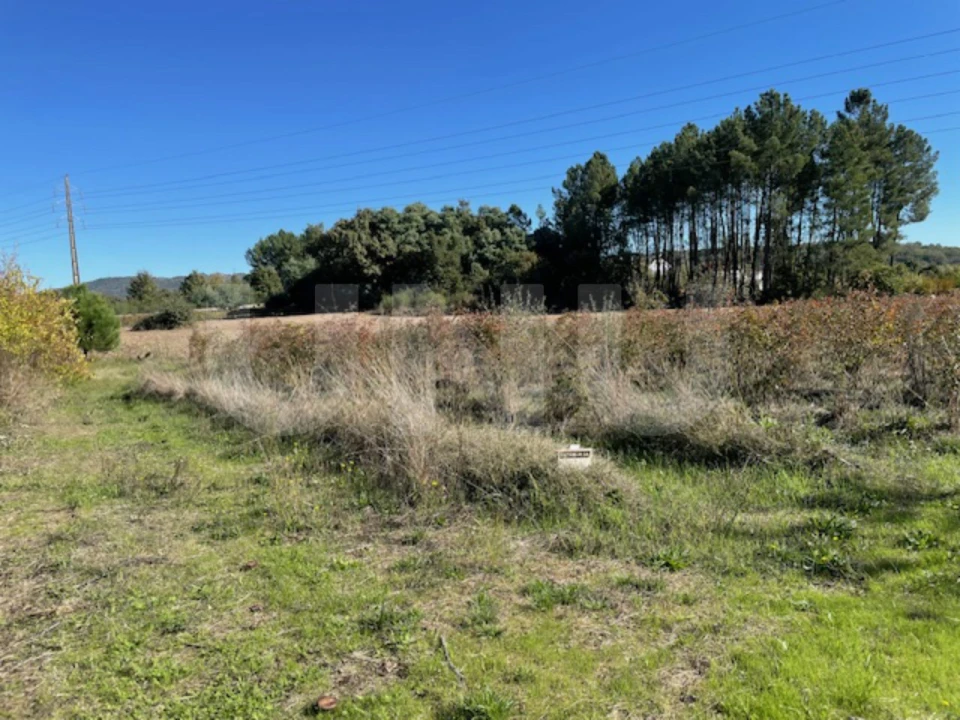 Terreno Agricola ou Rústico para Venda em Orjais Foto 4