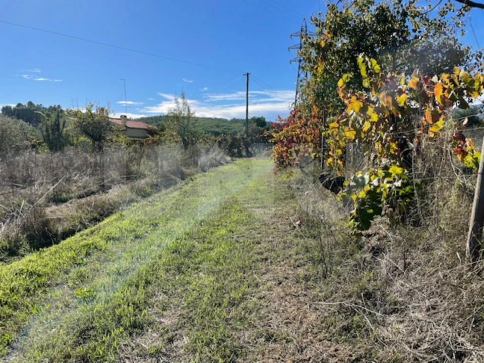 Terreno Agricola ou Rústico para Venda em Orjais Foto 10