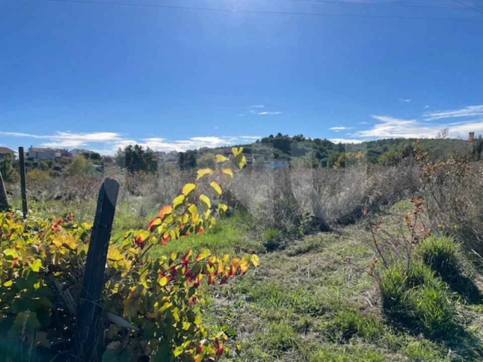 Terreno Agricola ou Rústico para Venda em Orjais Foto 12