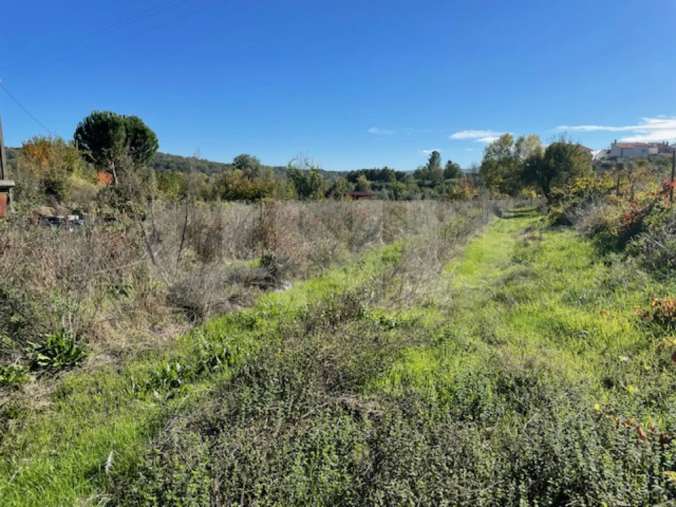 Terreno Agricola ou Rústico para Venda em Orjais Foto 14