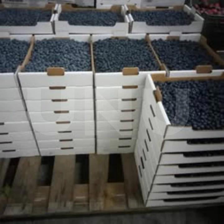 Terreno Agricola ou Rústico para Venda em Orjais Foto 16