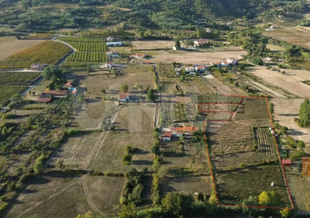 Terreno Agricola ou Rústico para Venda em Orjais Foto 21