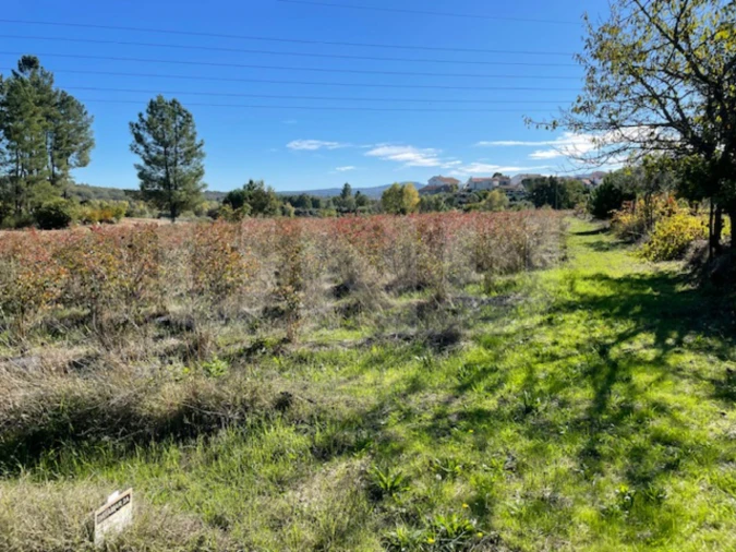 Terreno Agricola ou Rústico para Venda em Orjais