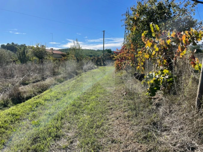 Terreno Agricola ou Rústico para Venda em Orjais Foto 10