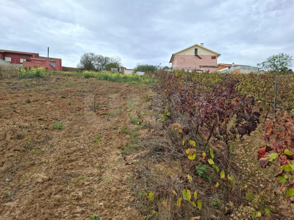 Terreno para Venda em Ventosa Foto 7