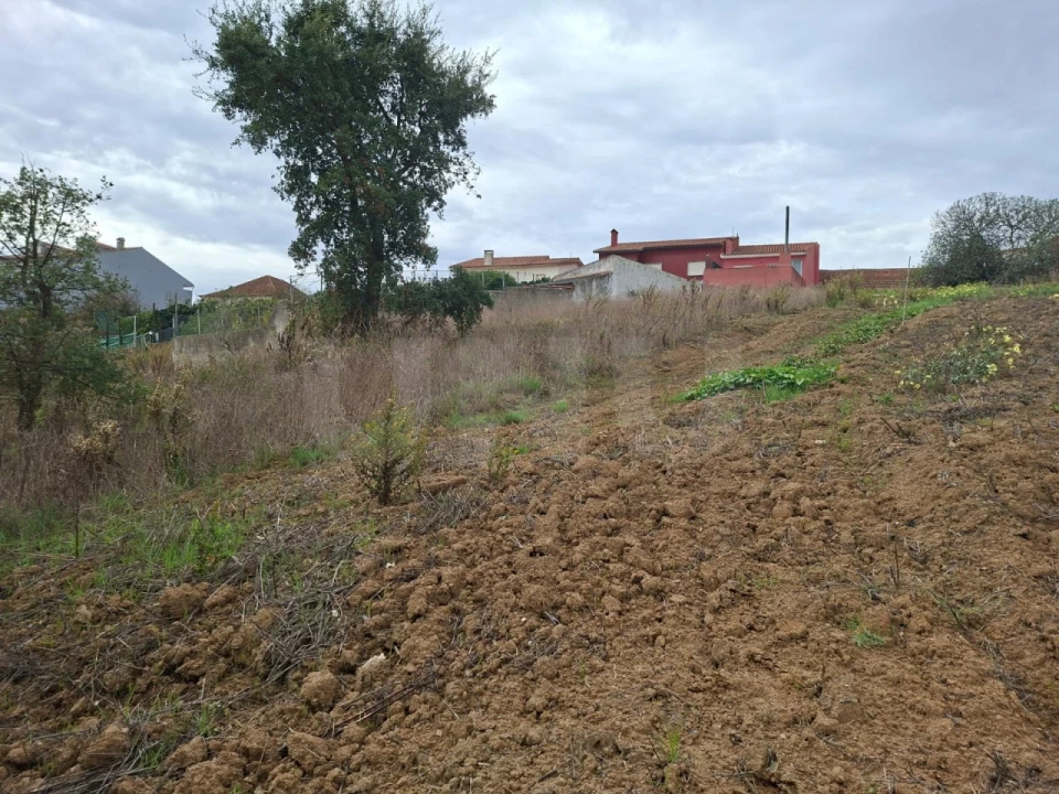 Terreno para Venda em Ventosa Foto 8