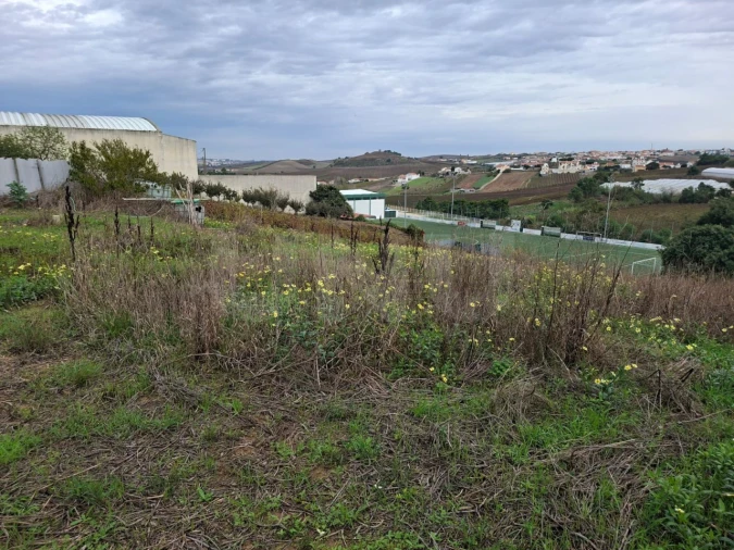 Terreno para Venda em Ventosa Foto 11