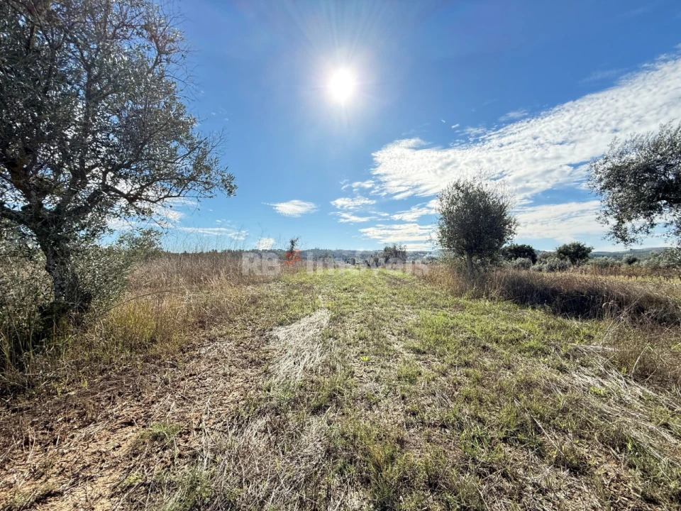 Terreno para Venda em Alvega e Concavada Foto 2