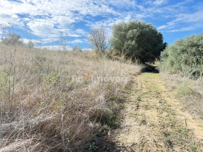 Terreno para Venda em Alvega e Concavada Foto 7