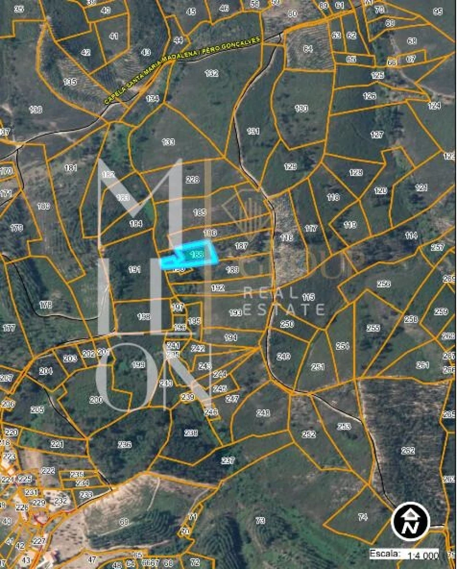 Terreno para Venda em Amendoa Foto 3