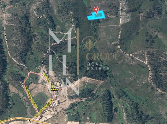 Terreno para Venda em Amendoa Foto 1