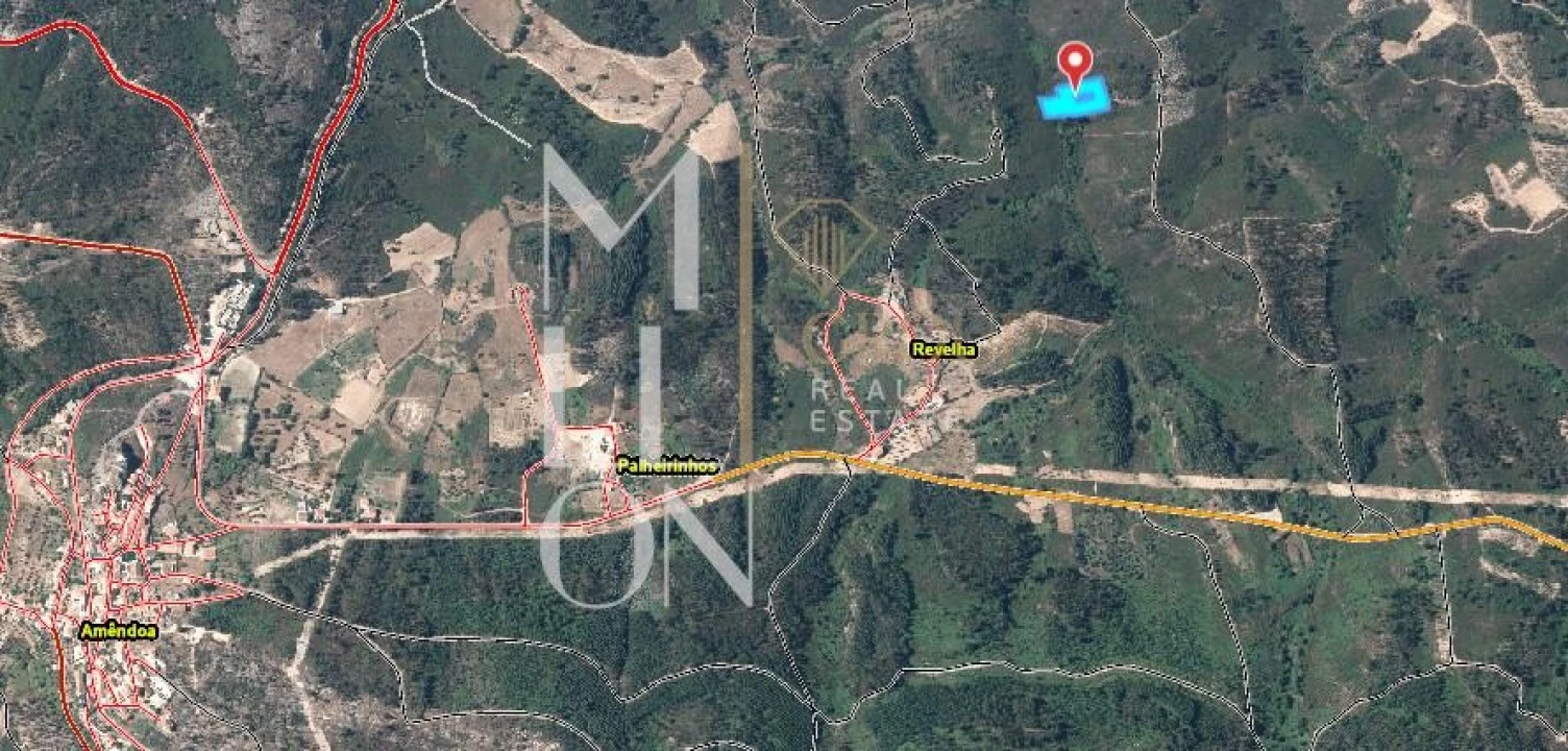 Terreno para Venda em Amendoa Foto 2