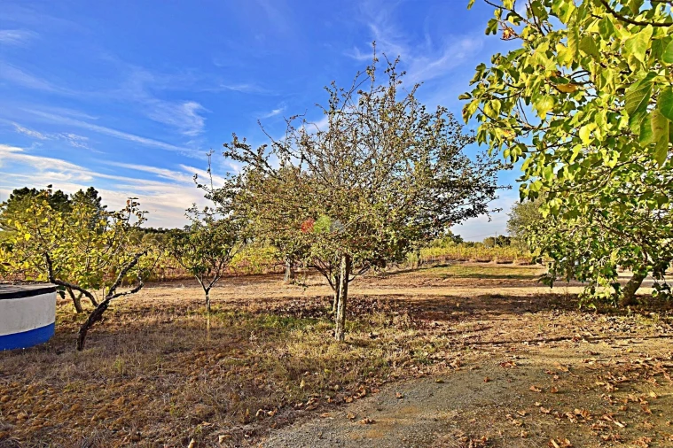 Quinta T5 para Venda em Nossa Senhora da Vila, Nossa Senhora do Bispo e Silveiras Foto 72
