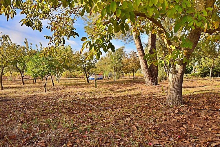 Quinta T5 para Venda em Nossa Senhora da Vila, Nossa Senhora do Bispo e Silveiras Foto 74
