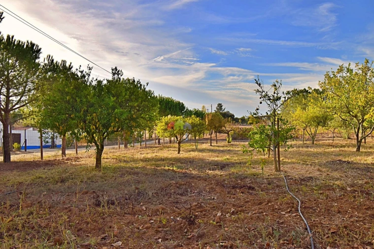 Quinta T5 para Venda em Nossa Senhora da Vila, Nossa Senhora do Bispo e Silveiras Foto 76