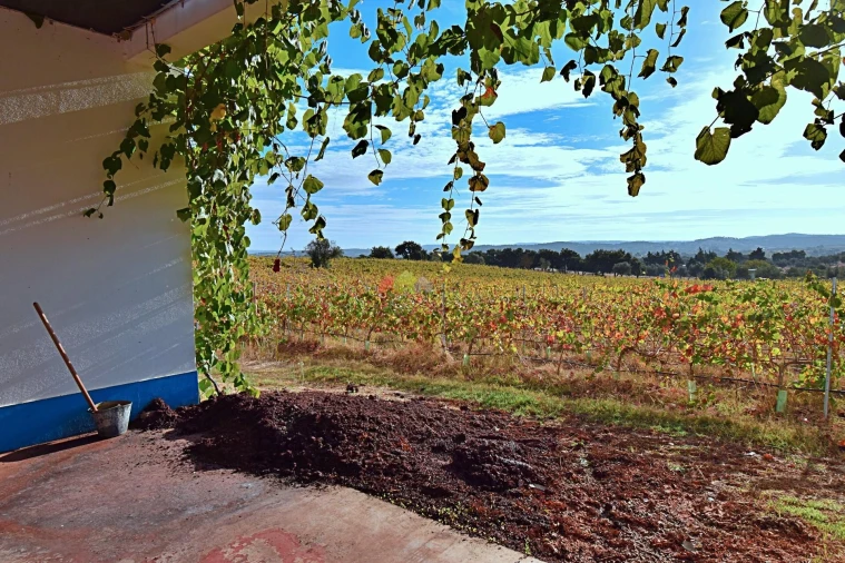 Quinta T5 para Venda em Nossa Senhora da Vila, Nossa Senhora do Bispo e Silveiras Foto 87
