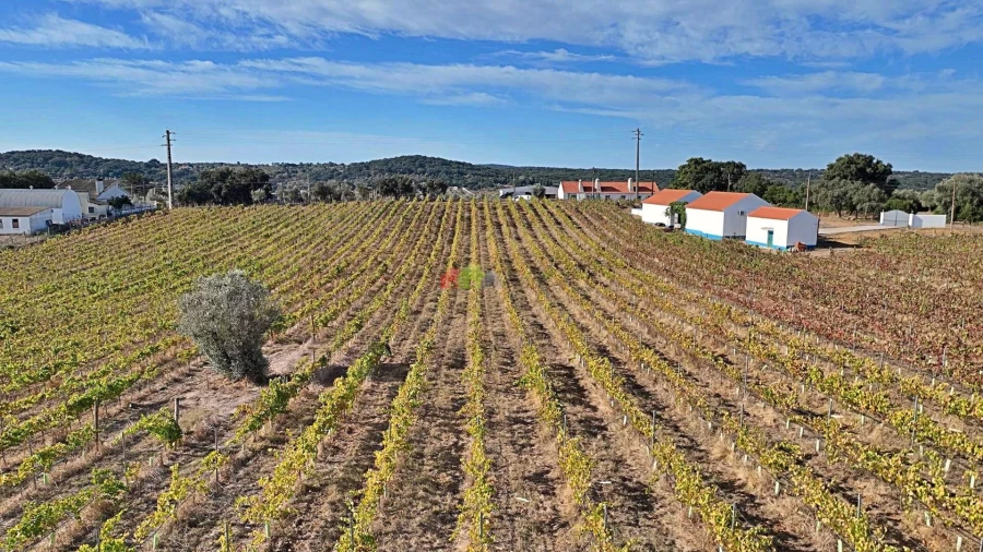 Quinta T5 para Venda em Nossa Senhora da Vila, Nossa Senhora do Bispo e Silveiras Foto 113