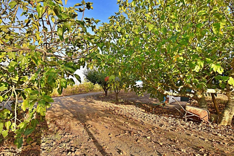 Quinta T5 para Venda em Nossa Senhora da Vila, Nossa Senhora do Bispo e Silveiras Foto 71