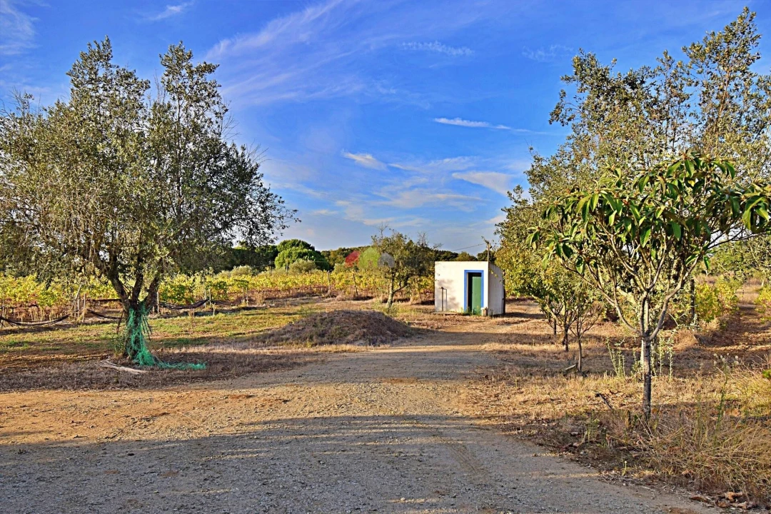 Quinta T5 para Venda em Nossa Senhora da Vila, Nossa Senhora do Bispo e Silveiras Foto 70