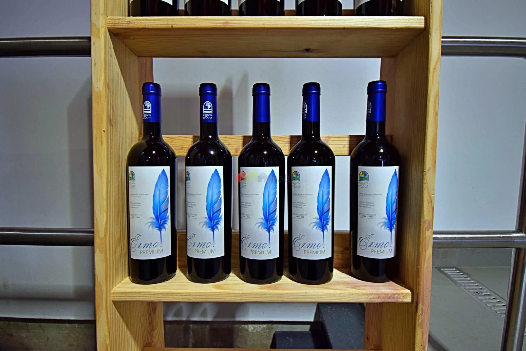 Quinta T5 para Venda em Nossa Senhora da Vila, Nossa Senhora do Bispo e Silveiras Foto 91