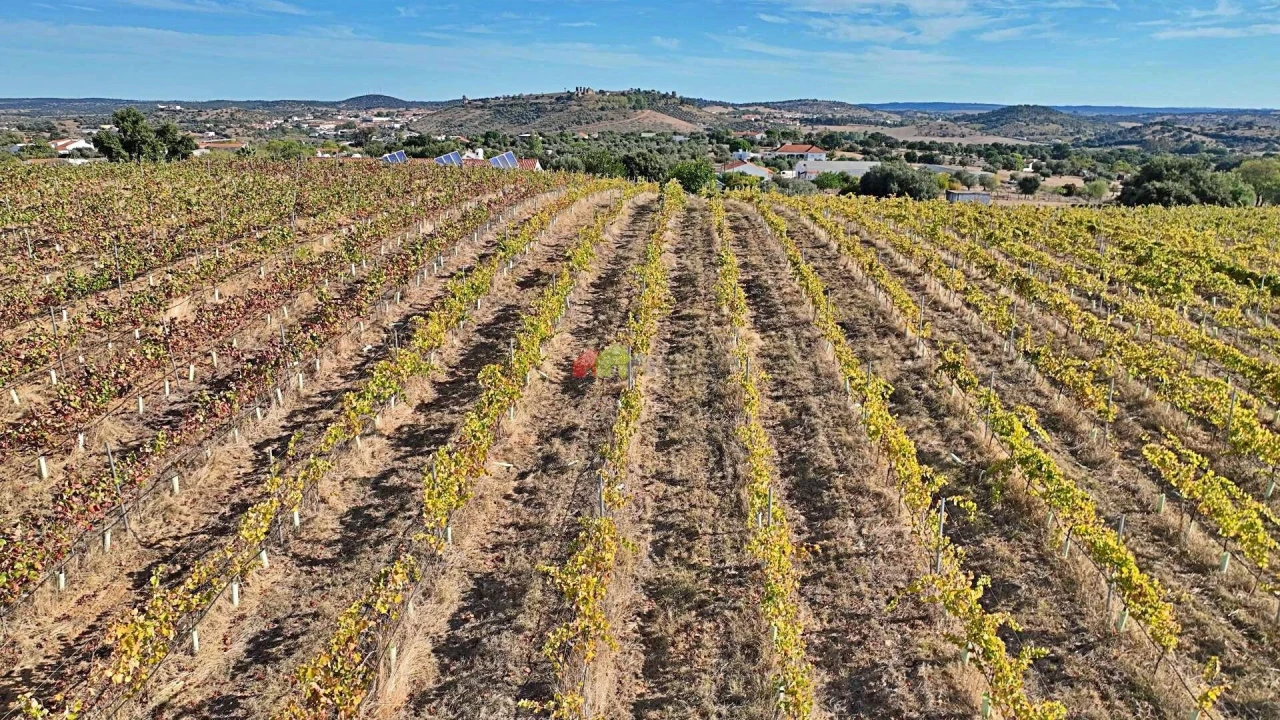 Quinta T5 para Venda em Nossa Senhora da Vila, Nossa Senhora do Bispo e Silveiras Foto 114