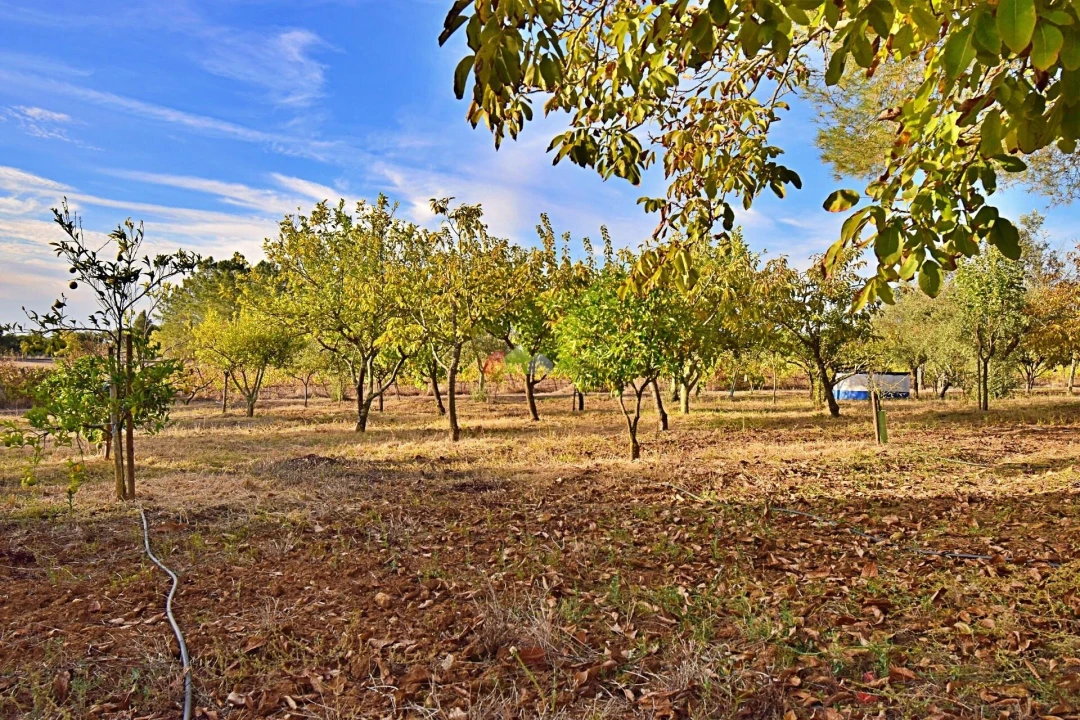 Quinta T5 para Venda em Nossa Senhora da Vila, Nossa Senhora do Bispo e Silveiras Foto 75
