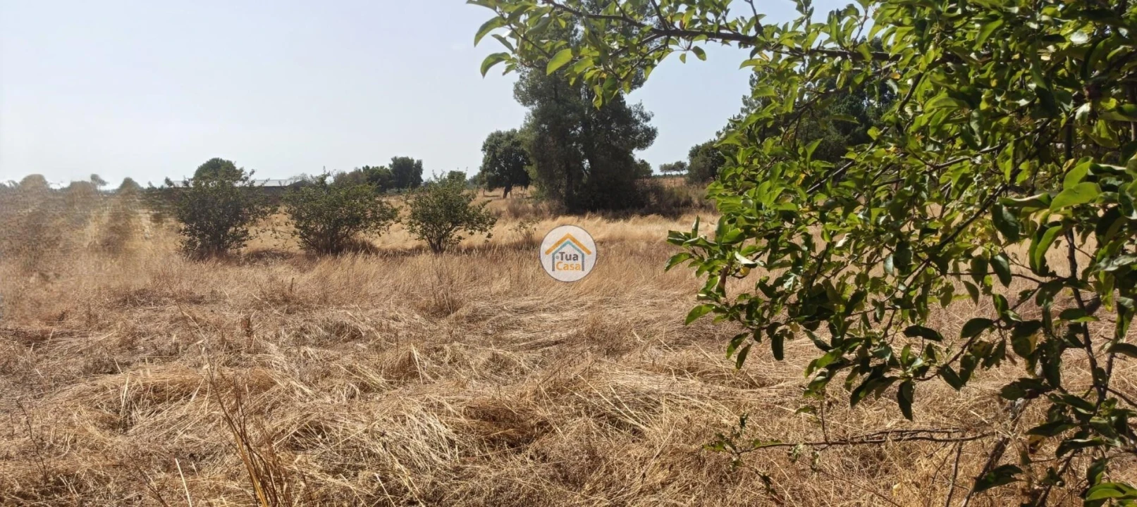 Terreno para Venda em Tinalhas Foto 7