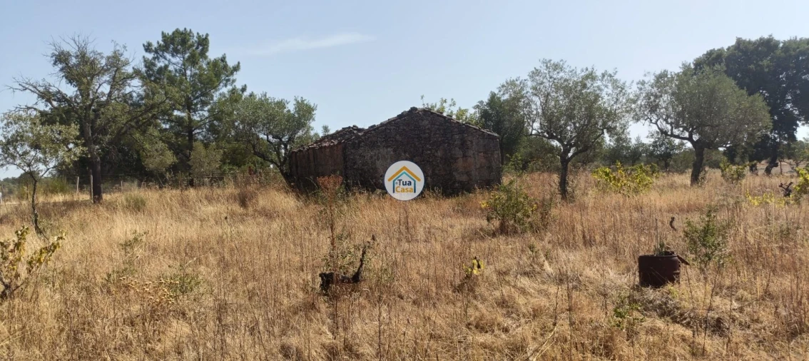 Terreno para Venda em Tinalhas Foto 1