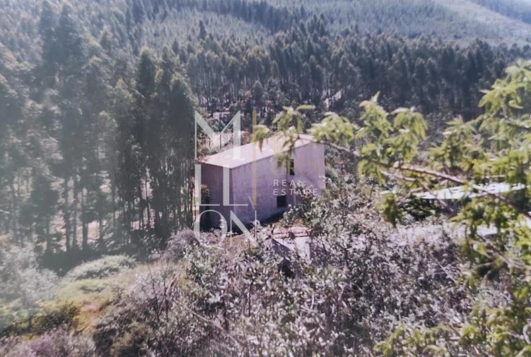 Terreno para Venda em Mação, Penhascoso e Aboboreira Foto 1