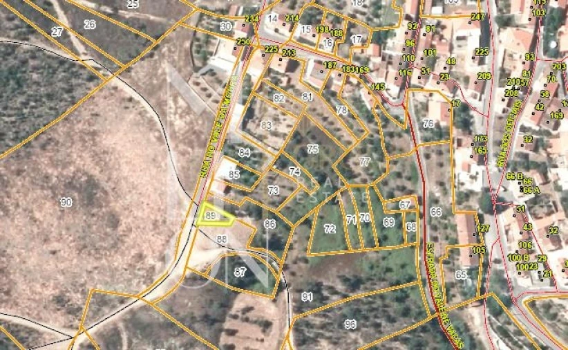 Terreno para Venda em Mação, Penhascoso e Aboboreira Foto 3