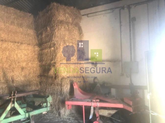 Terreno para Venda em Sobral da Adiça Foto 5