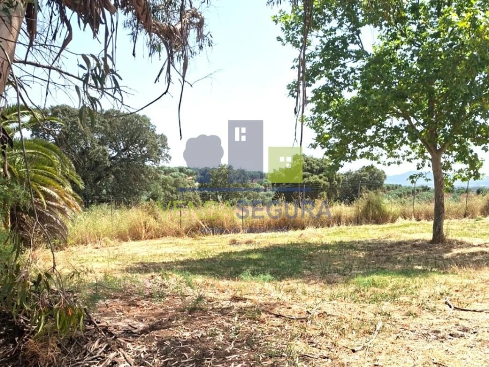 Terreno para Venda em Sobral da Adiça Foto 4