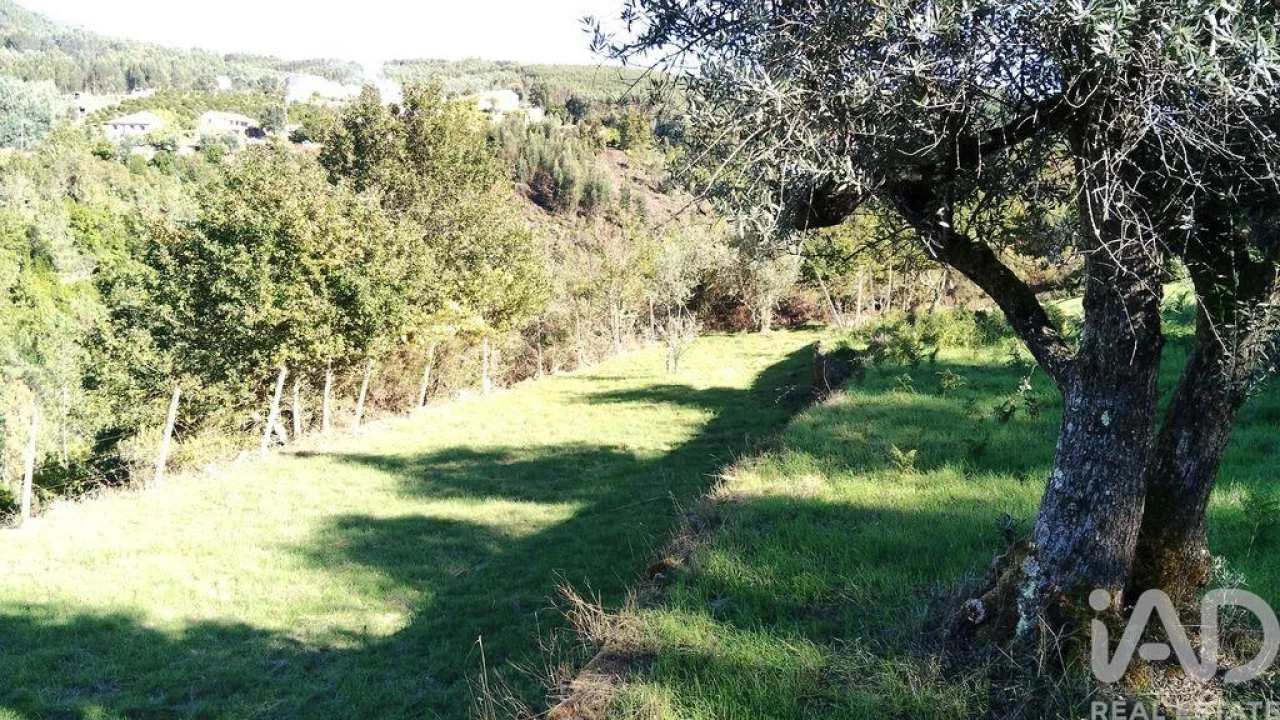 Quinta T4 para Venda em Pedrogão Grande Foto 9