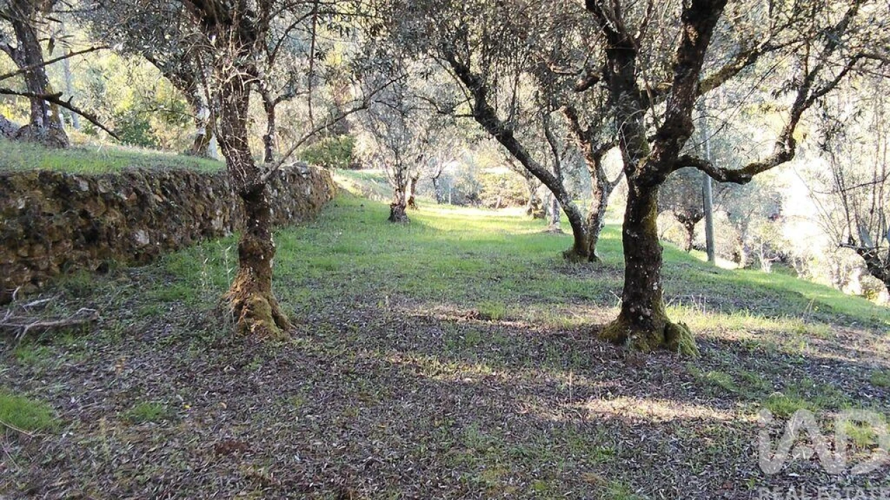 Quinta T4 para Venda em Pedrogão Grande Foto 36