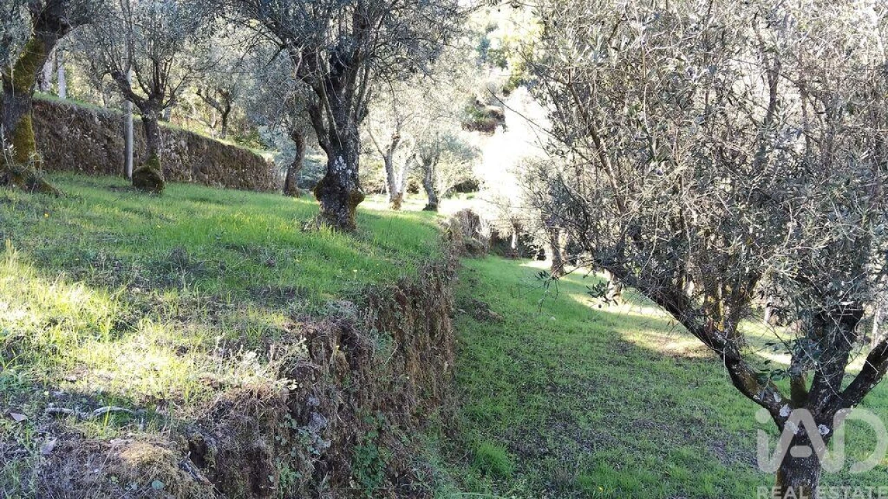 Quinta T4 para Venda em Pedrogão Grande Foto 28