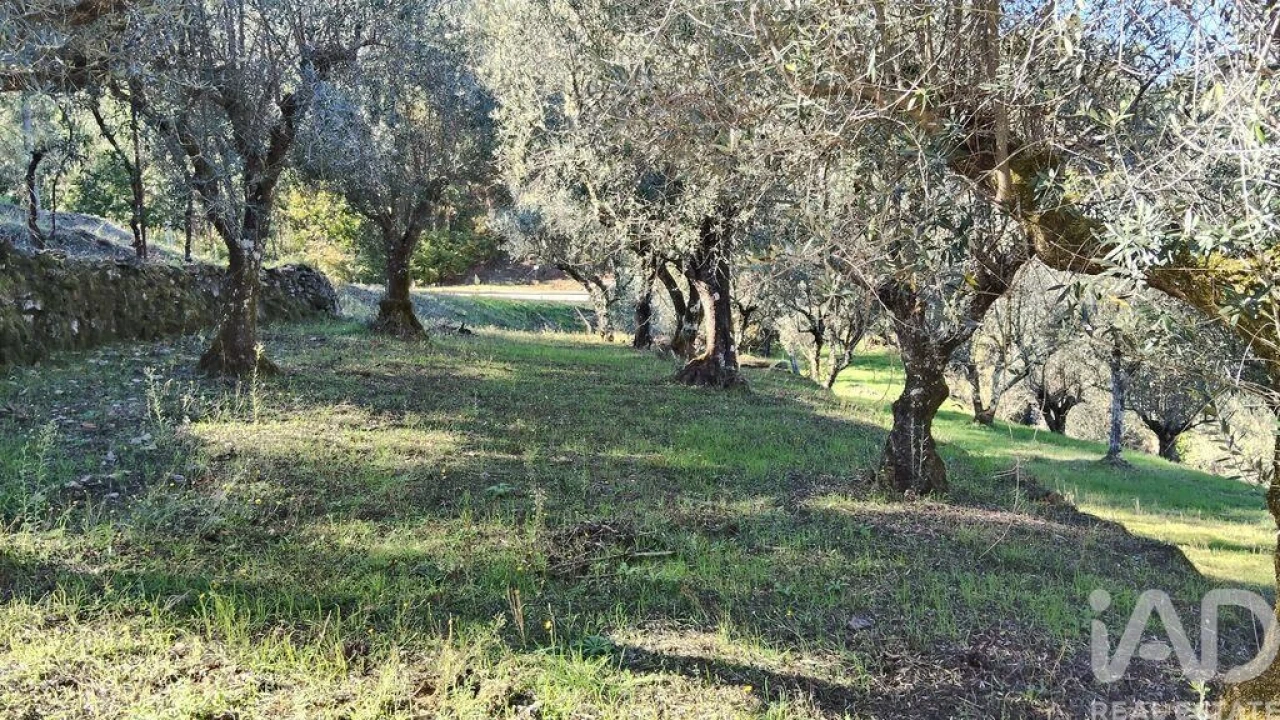 Quinta T4 para Venda em Pedrogão Grande Foto 19