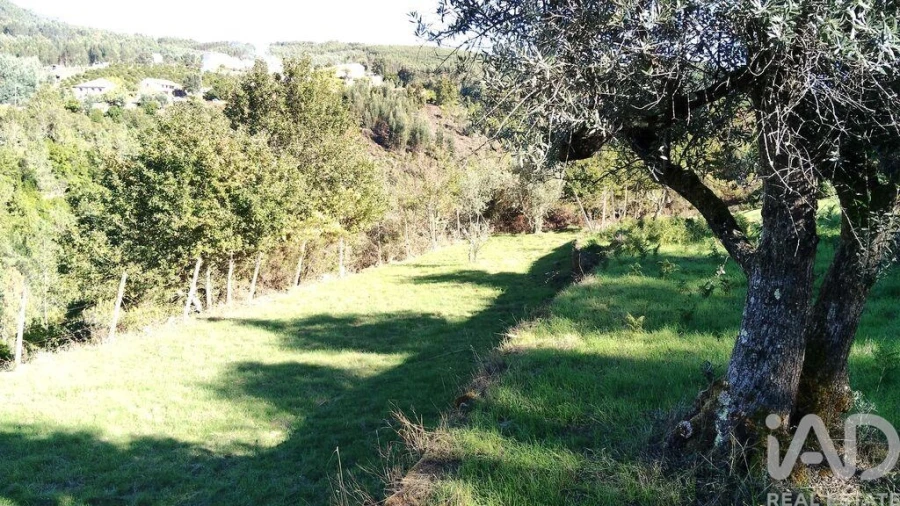 Quinta T4 para Venda em Pedrogão Grande Foto 9