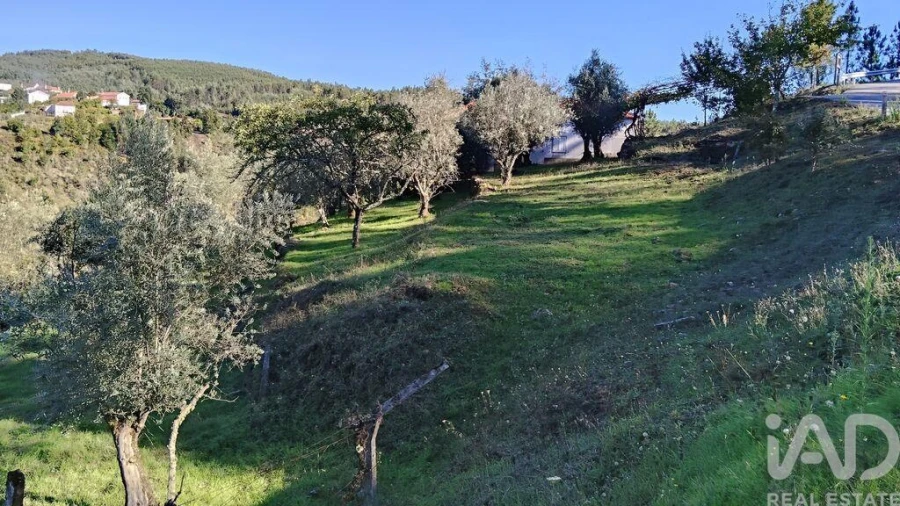 Quinta T4 para Venda em Pedrogão Grande Foto 38